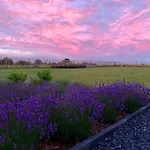 Bed & Breakfast La Douce Cens 3*
