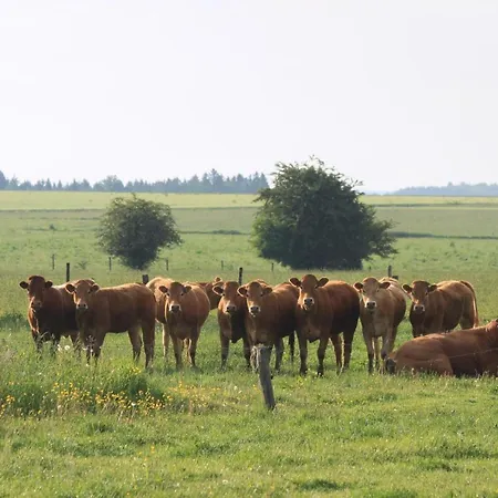 La Douce Cens Bed & Breakfast Tenneville